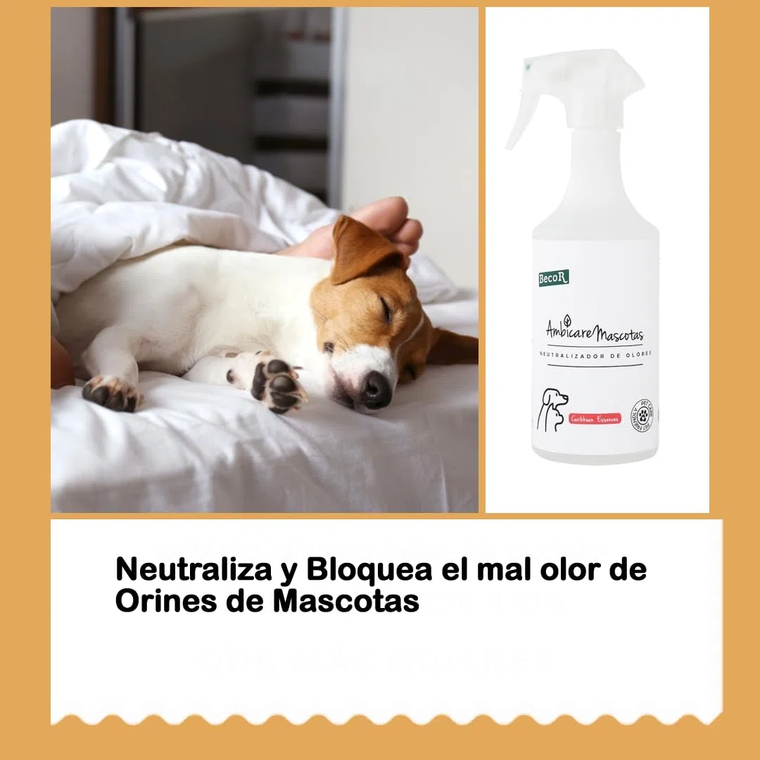 AMBICARE MASCOTAS-Neutralizador de olores de Gatos y Perros, Eliminador de olores Mascotas, ambientador absorbe olores mascotas, Biodegradable y sin Tóxicos para tu Mascota. PETCARE