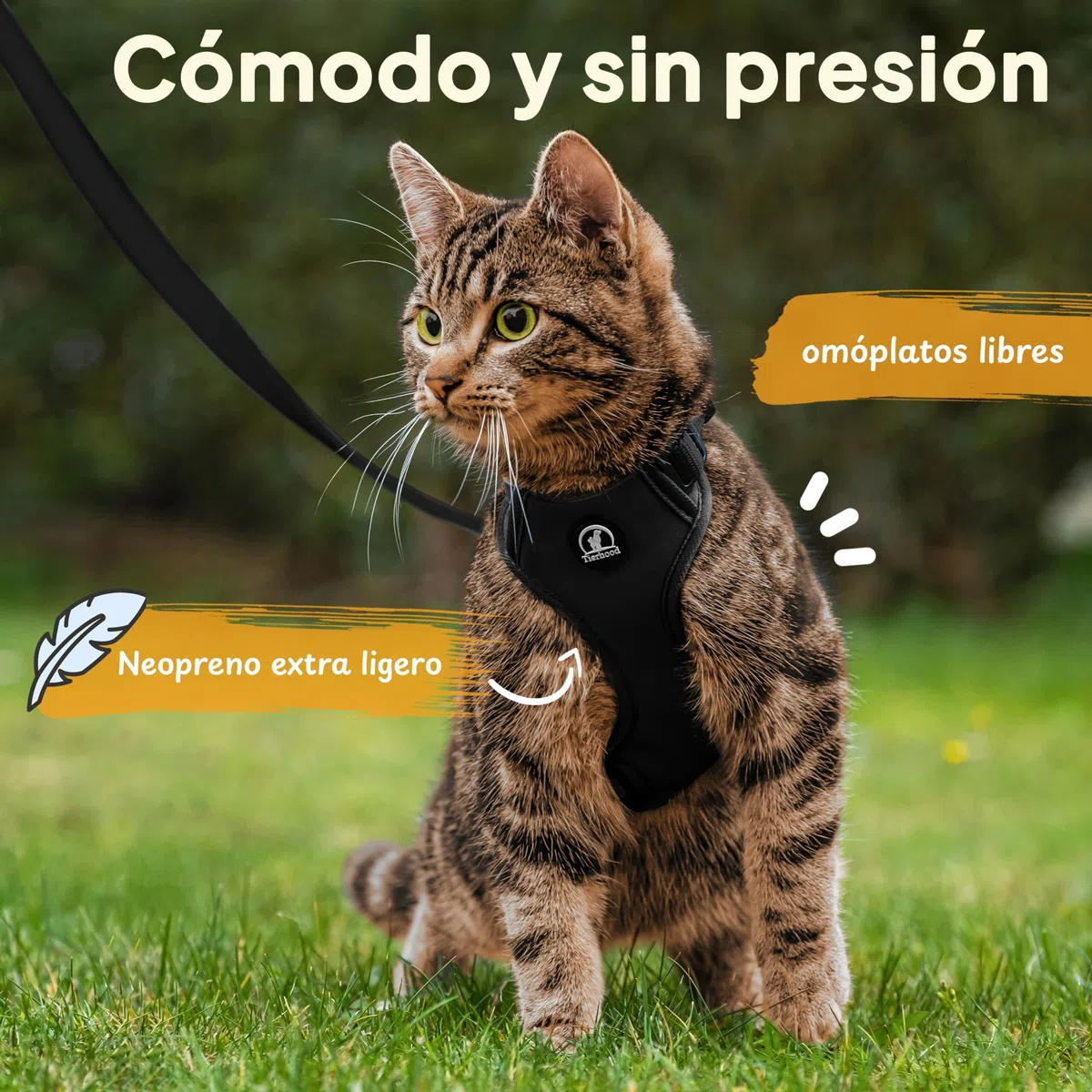 Tierhood Arnes para gatos - Arnes gatos antiescape - Correa con arnes para gatos pequeños y grandes - Arnés para gatos ajustable con correa de 1,4m - Arnés para gatos activos - Negro, Talla S