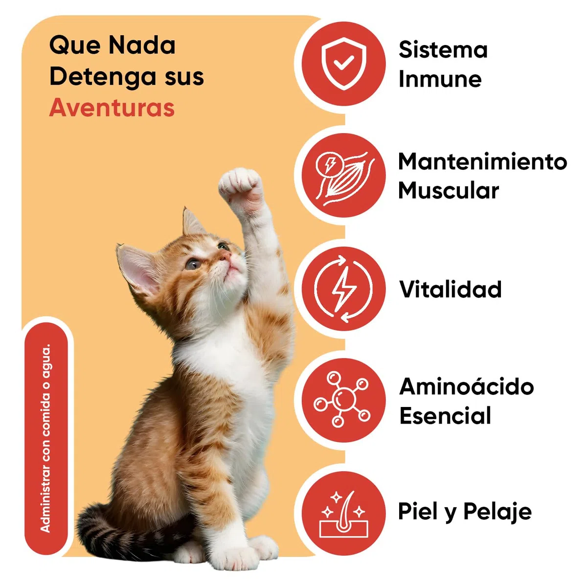 Lisina para Gatos en Polvo 250g, Con Cucharita, Para El Sistema Inmune, Las Defensas Naturales y La Función Respiratoria - Suplemento Natural de Aminoácidos Esenciales para Todas las Razas, Sin Gluten