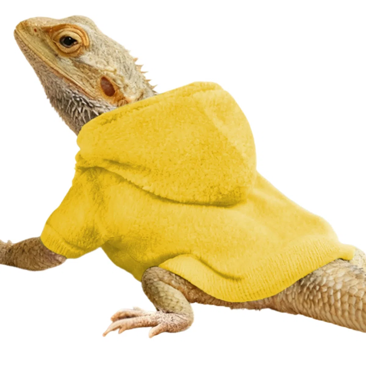 Disfraz para Gecko Leopardo | Prendas de Reptil Hechas a Mano,Abrigo Disfraz para Saurios y Lagartos - para Camaleones Geckos Iguanas y Otros Reptiles en Paseos al Aire Libre