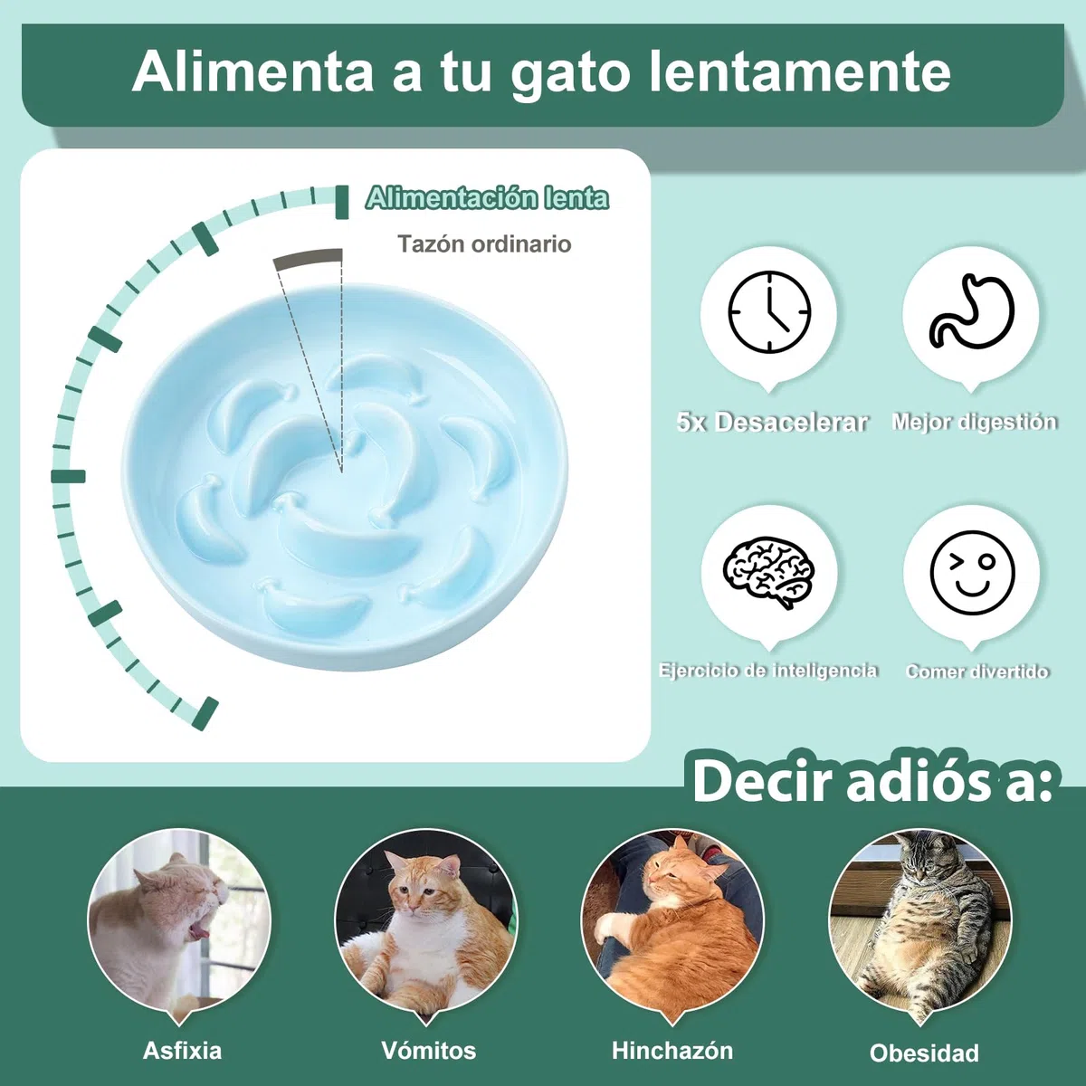 Comedero antivoracidad para Gato - Juego de 2 Cuencos de cerámica en Colores Pastel (Azul y Verde) - Platos de alimentación Lenta - Aptos para lavavajillas y microondas