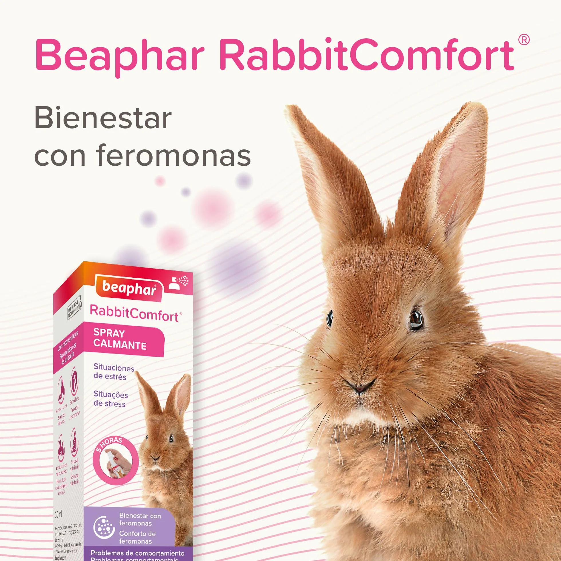 Beaphar - RabbitComfort - Spray Calmante con Feromonas para Conejos - Reduce el Estrés y los Problemas de Comportamiento – para Viajes y Visitas al Veterinario - 30 ml