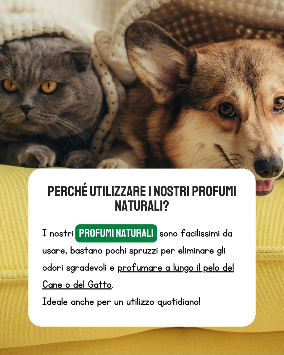 Colonia para perros y gatos natural - Aroma de larga duraciòn, desodorante también apropiado para cachorros spray. 50ml