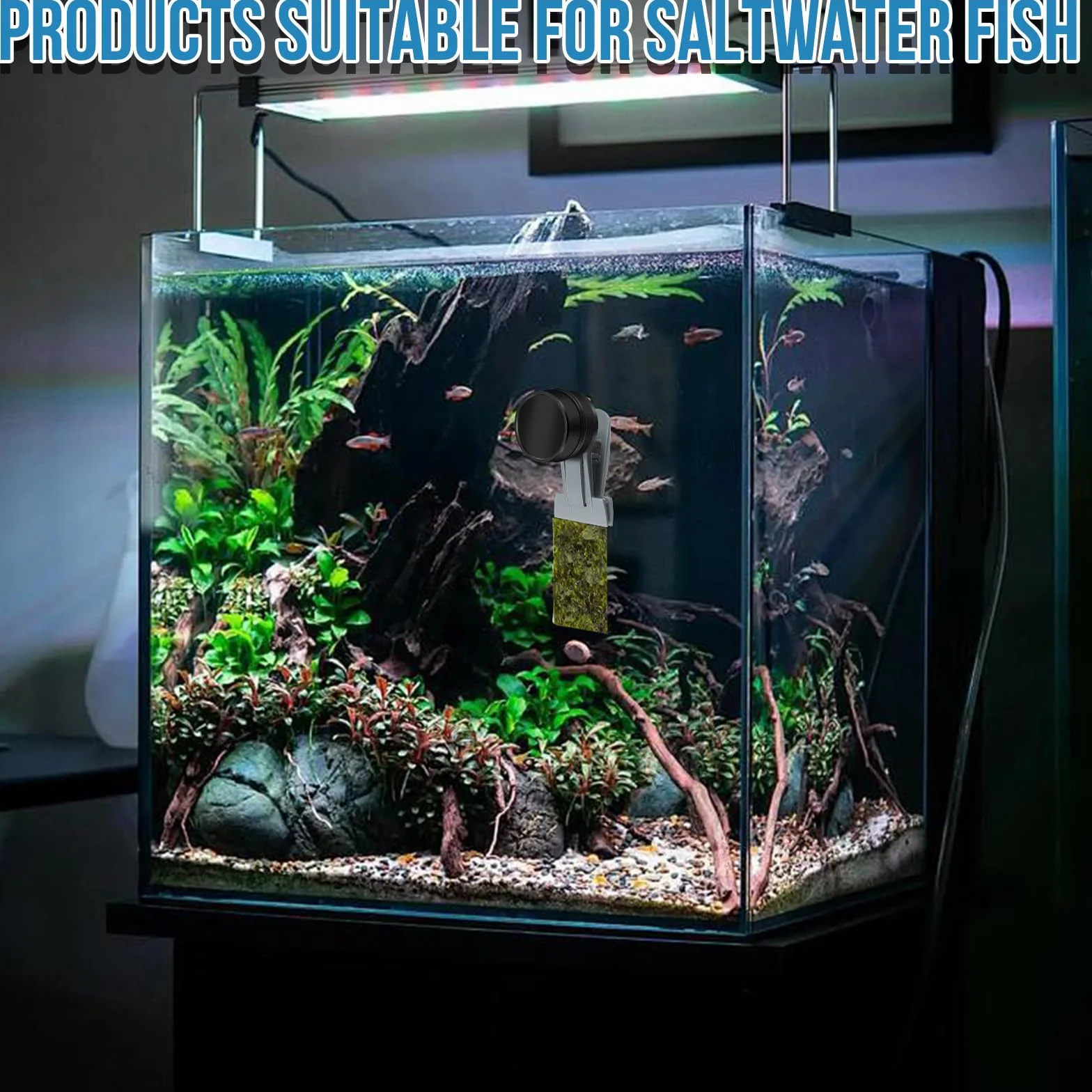Comedero para Peces de Colores, Accesorios para acuarios de Agua Salada, imán para Algas, Clip magnético para Acuario, Anillo de alimentación para peceras, Apto para Mascotas acuáticas