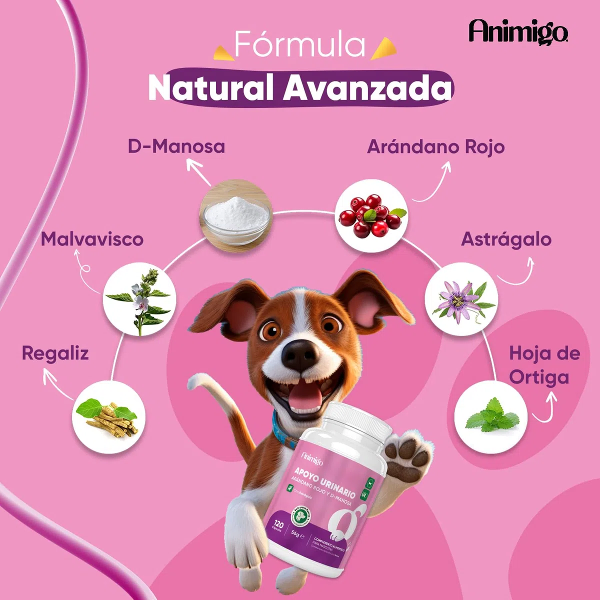 Salud Urinaria para Perros 120 Cápsulas Sin Sabor Fáciles de Administrar - Apoyo Natural para Tracto Urinario, Vejiga y Riñones con D-Manosa y Arándano Rojo Que Refuerzan su Sistema Inmunológico