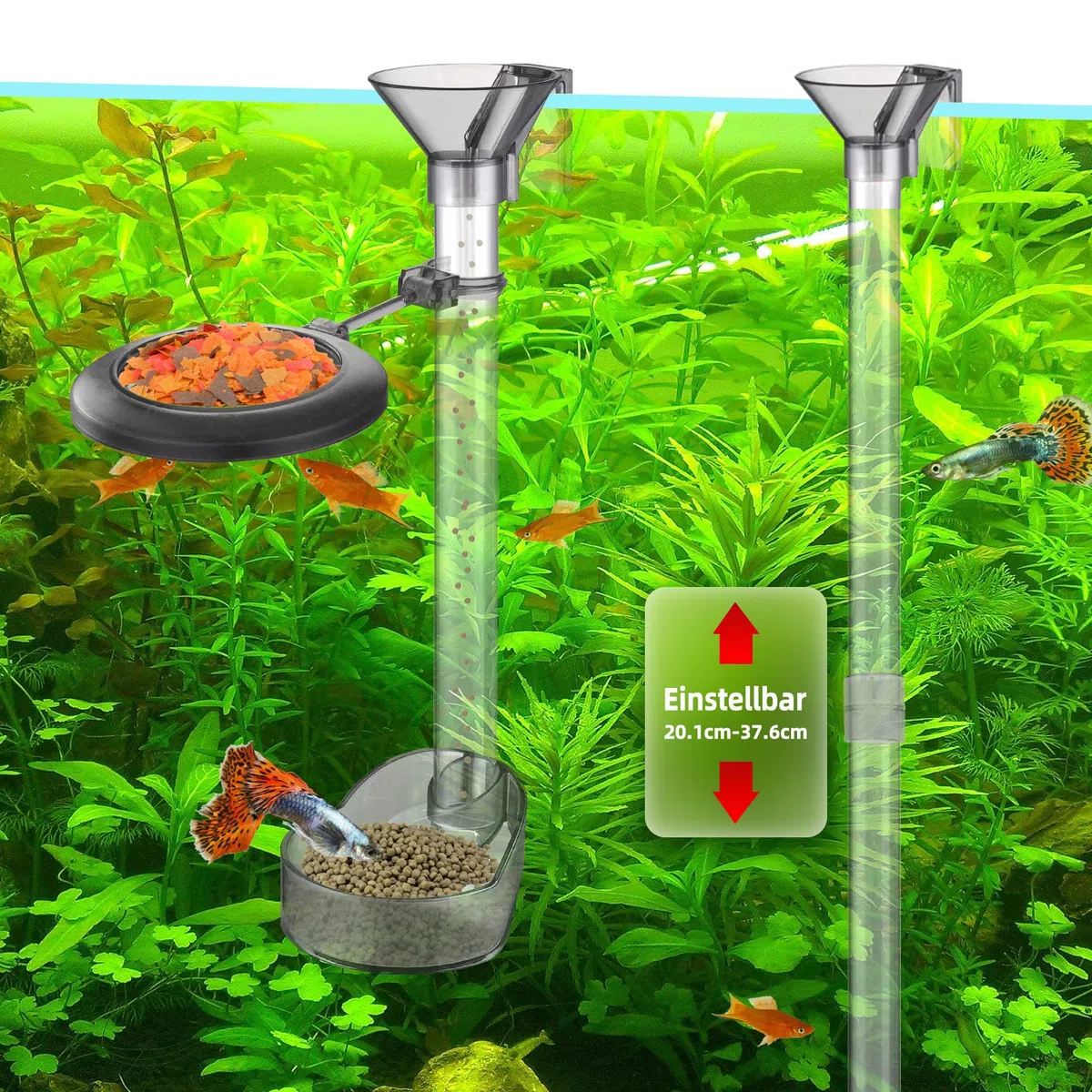 Juego de Platos de alimentación de camarones, Kit de Tubo de alimentación de Peces de Acuario Ajustable, Tubo de alimentación Transparente y Duradero con Anillo de alimentación, Cepillo de Limpieza