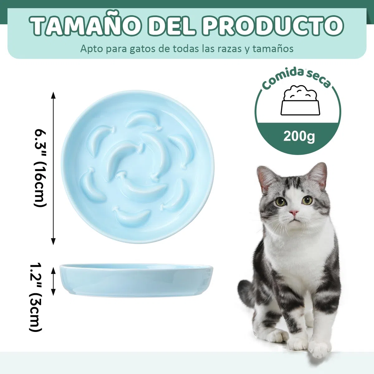 Comedero antivoracidad para Gato - Juego de 2 Cuencos de cerámica en Colores Pastel (Azul y Verde) - Platos de alimentación Lenta - Aptos para lavavajillas y microondas