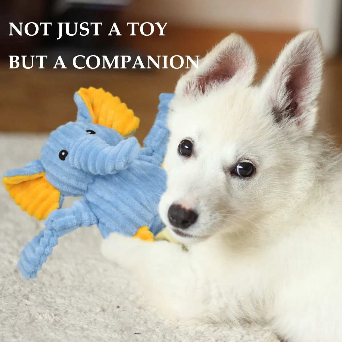 LECHONG Paquete de 5 Juguetes chirriantes para Perros, Juguetes de Peluche para Perros de Todas Las Razas, Peluche Suave para Perros Grandes, medianos y pequeños