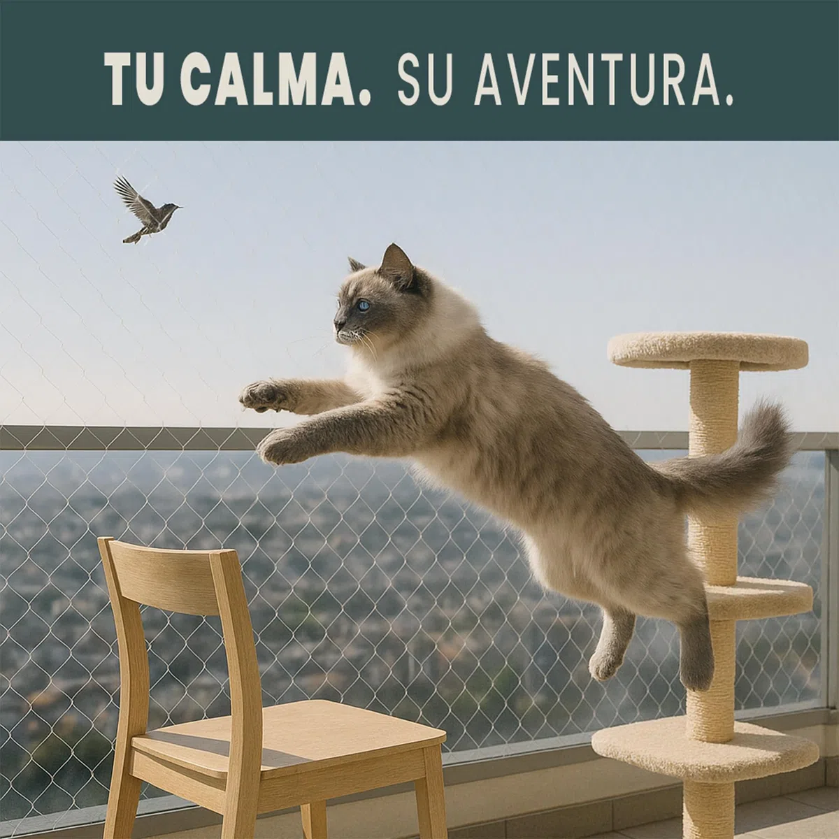 Kit De Fijacion Red Para Gatos Exterior 50 Unidades Ganchos Adhesivos Y Bridas Sin Taladro Impermeables Instalacion Rapida Y Segura En Cualquier Superficie Para Balcon Terraza Ventana Resistente
