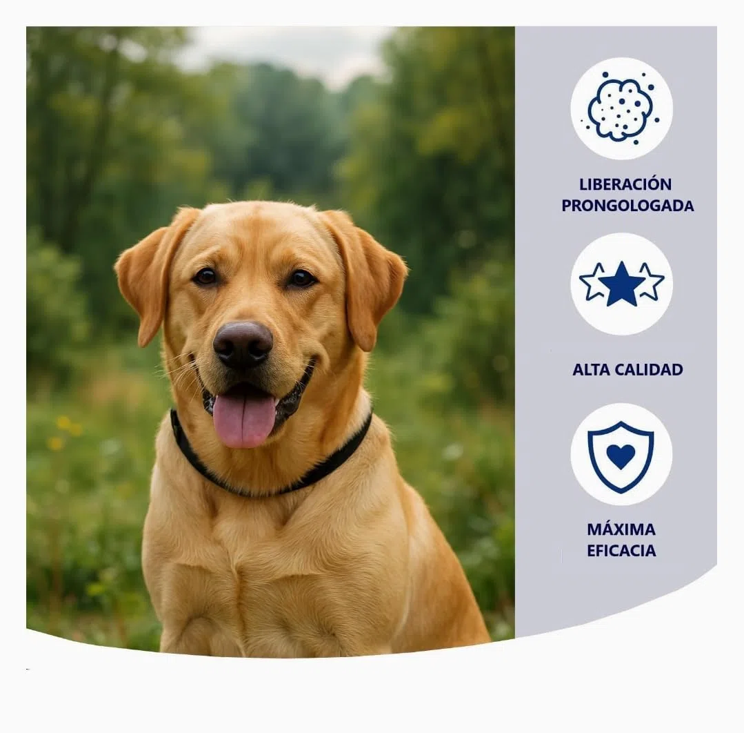 Collar Antiparasitario para Perros - Protección de Alta Eficacia contra Pulgas, Garrapatas y Mosquitos - Ajustable, Impermeable y de Larga Duración - Color Negro - Pack de 2