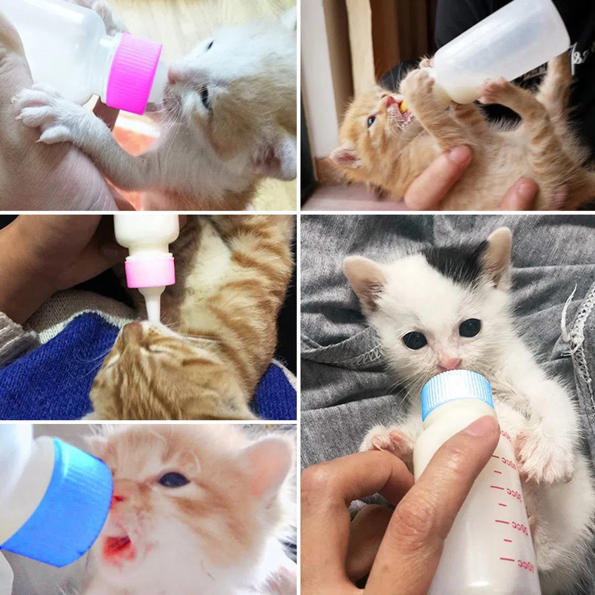 Kit de Biberón de Mascotas, Biberón Líquido para Gatos de Exprimir Kit de Tubos de Aguja y Mini Pezones de Repuesto para Gatito Perrito Herramienta de Alimentación para Mascotas Pequeñas - 60ml