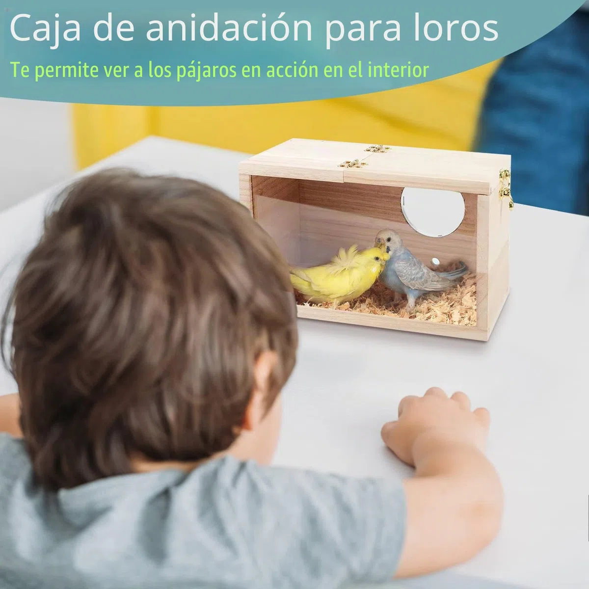 Caja De Cría De Pájaros, Diseño TransparenteCaja de Nido de Pájaros de Madera, Nido cría para Aves Natural, Ventana de Visión Clara de Loro, para Agapornis, Loros de Cacatúas, 19,5 x 12 x 12 cm