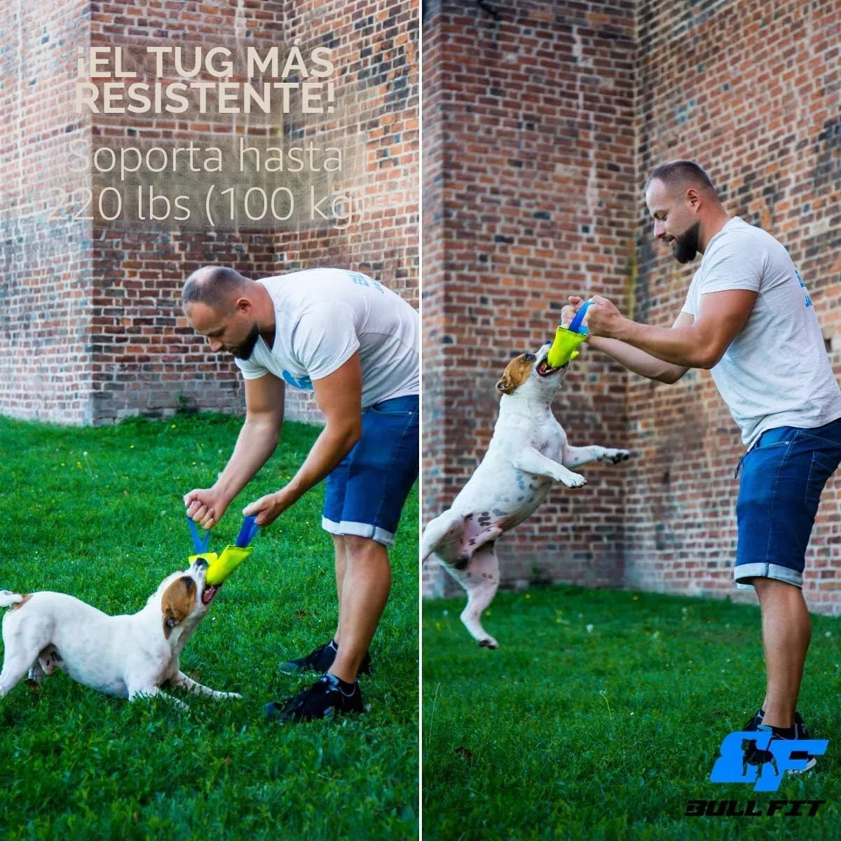Bull Fit Mordedor para Perros 30 cm con Asa – Mordedor Perro Resistente de Manguera de Bomberos para Entrenamiento K9 y Tira y Afloja - Juguete Flotante, Amarillo