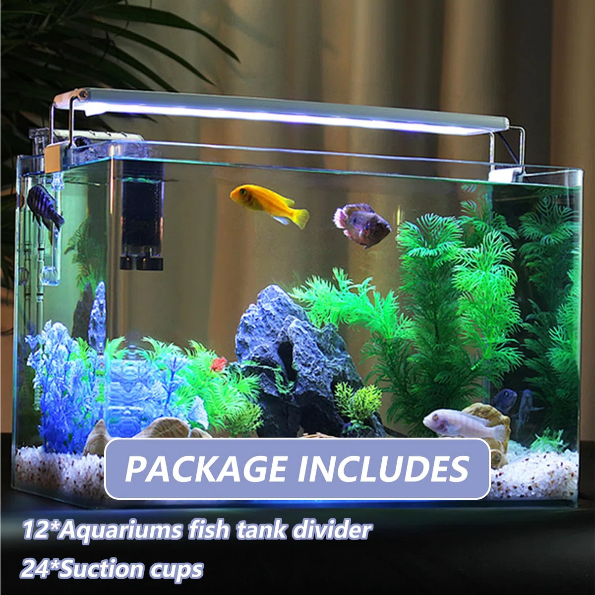 DAJAVE 12 separadores para acuario, 30 x 15 cm, rejilla de plástico, separador de acuario, para aislamiento, aislamiento de acuario, filtración de bricolaje y caping acuático