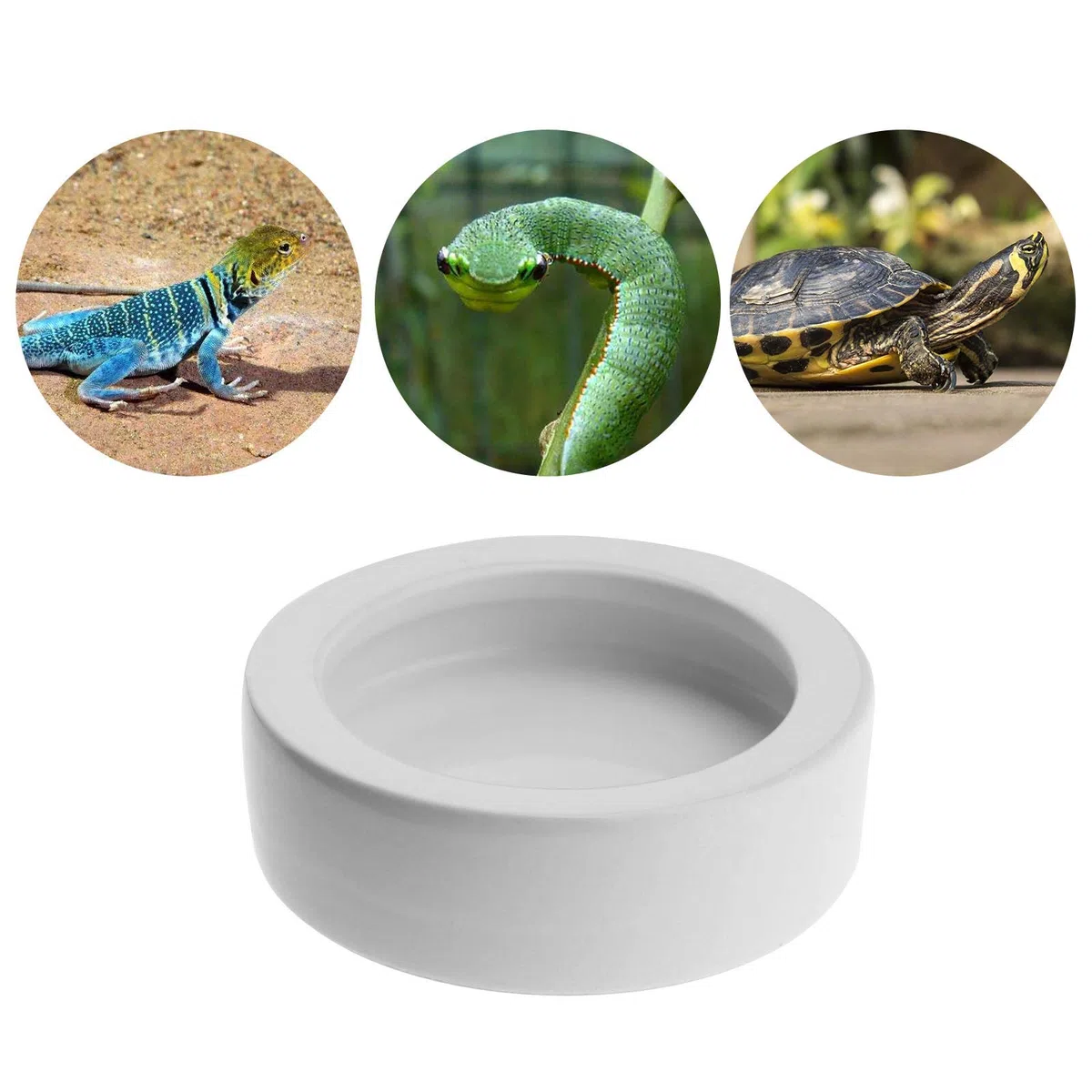 EMSea Juego de 2 cuencos para reptiles gusanos con borde curvado de cerámica a prueba de escaparate de lagarto de 2,8 pulgadas, color blanco insípido, suave para cangrejos de araña Gecko