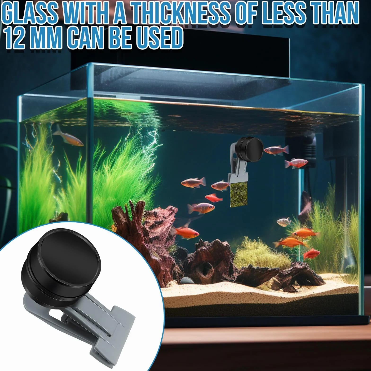 Comedero para Peces de Colores, Accesorios para acuarios de Agua Salada, imán para Algas, Clip magnético para Acuario, Anillo de alimentación para peceras, Apto para Mascotas acuáticas