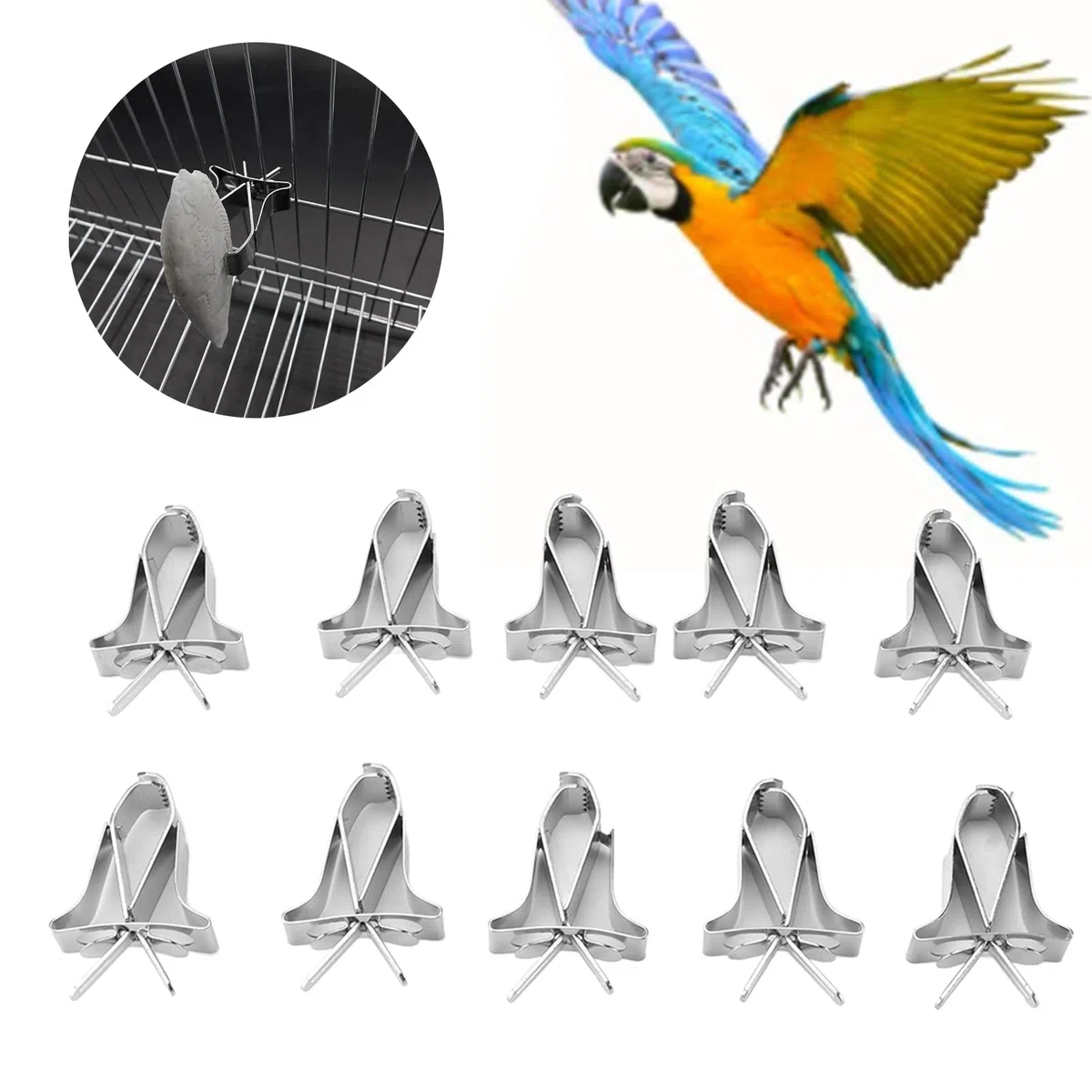KIMISS 10 clips para fruta y verdura de acero inoxidable, para loros, pájaros, hámsters y conejos, soporte de alimento seguro y resistente, pinzas para vegetales y snacks