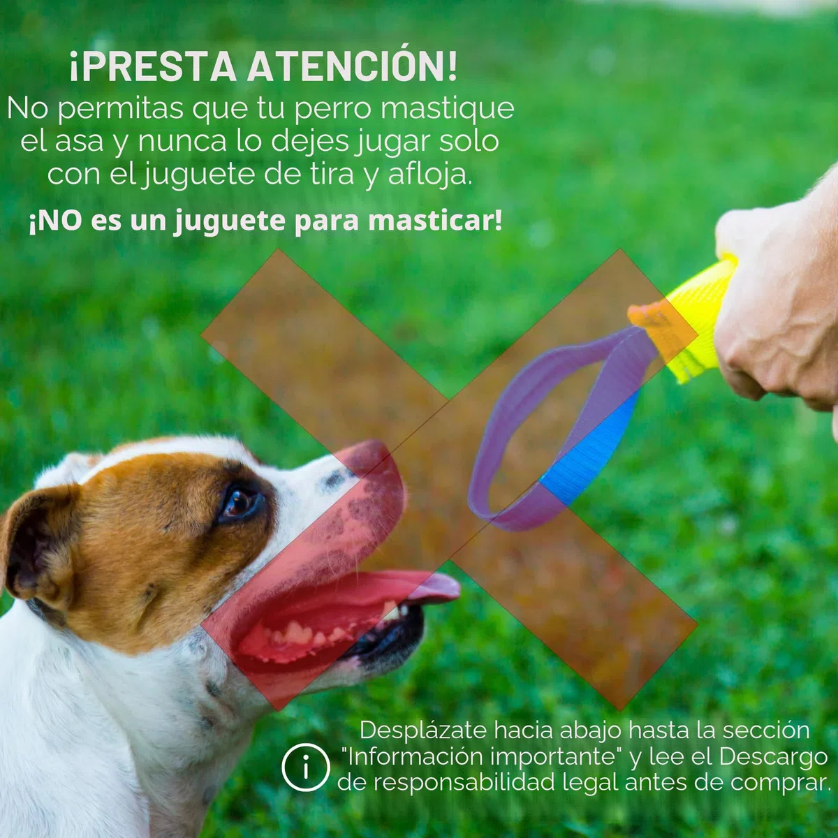 Bull Fit Mordedor para Perros 30 cm con Asa – Mordedor Perro Resistente de Manguera de Bomberos para Entrenamiento K9 y Tira y Afloja - Juguete Flotante, Amarillo