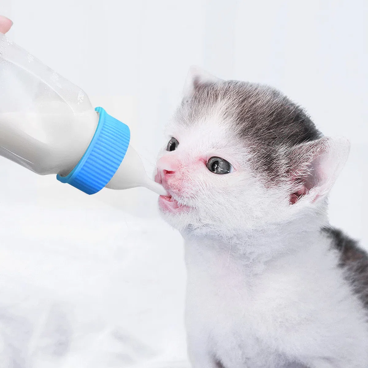 Kit de Biberón de Mascotas, Biberón Líquido para Gatos de Exprimir Kit de Tubos de Aguja y Mini Pezones de Repuesto para Gatito Perrito Herramienta de Alimentación para Mascotas Pequeñas - 60ml