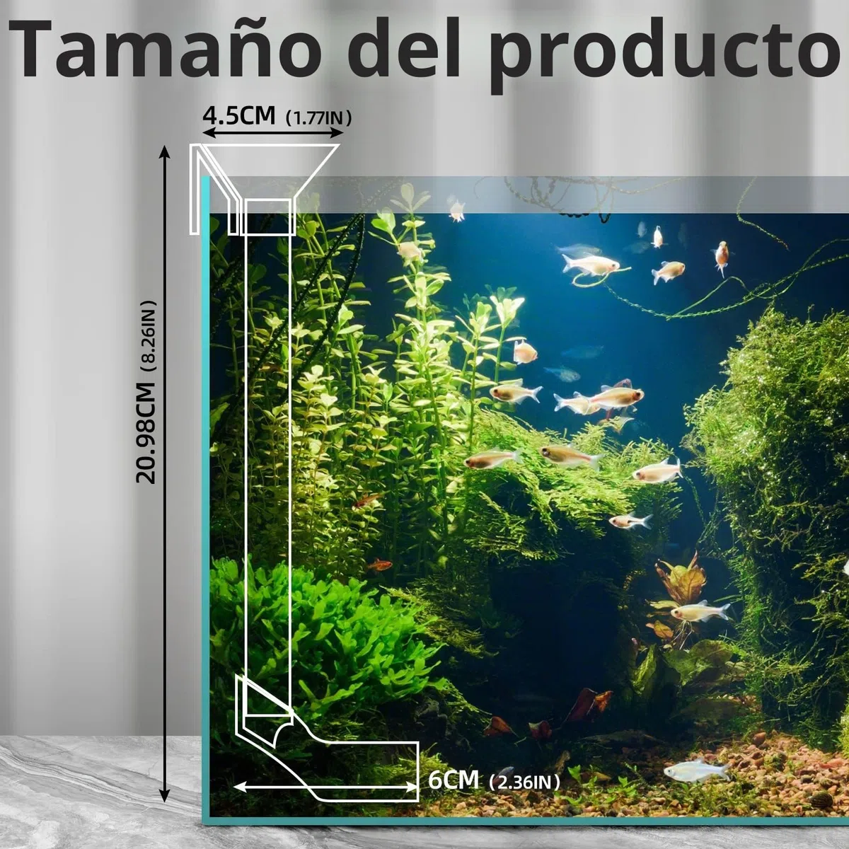 Juego de Platos de alimentación de camarones, Kit de Tubo de alimentación de Peces de Acuario Ajustable, Tubo de alimentación Transparente y Duradero con Anillo de alimentación, Cepillo de Limpieza
