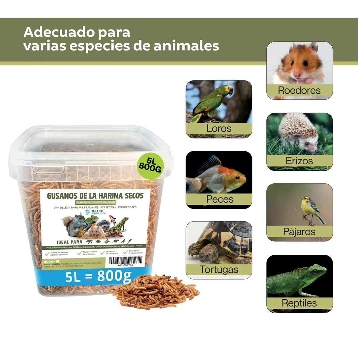 Detox Organica Gusanos de la Harina 800g – Gusanos de la Harina Deshidratados 5L – Gusanos para pájaros disecados – 100% Natural