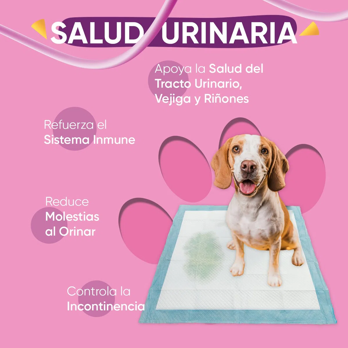 Salud Urinaria para Perros 120 Cápsulas Sin Sabor Fáciles de Administrar - Apoyo Natural para Tracto Urinario, Vejiga y Riñones con D-Manosa y Arándano Rojo Que Refuerzan su Sistema Inmunológico