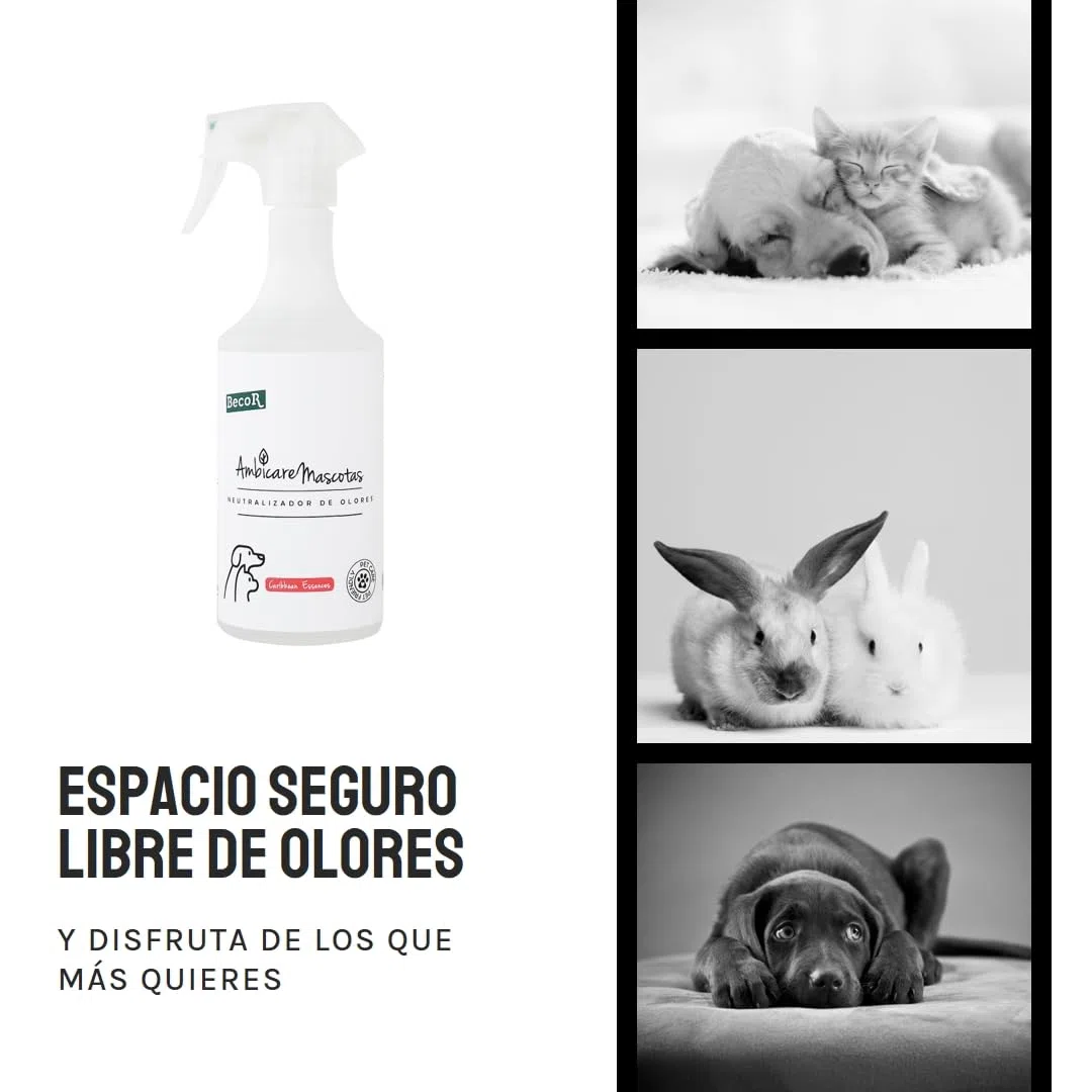 AMBICARE MASCOTAS-Neutralizador de olores de Gatos y Perros, Eliminador de olores Mascotas, ambientador absorbe olores mascotas, Biodegradable y sin Tóxicos para tu Mascota. PETCARE