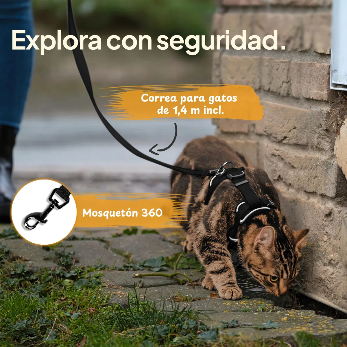 Tierhood Arnes para gatos - Arnes gatos antiescape - Correa con arnes para gatos pequeños y grandes - Arnés para gatos ajustable con correa de 1,4m - Arnés para gatos activos - Negro, Talla S