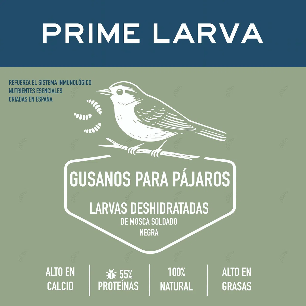 Larvas de Black Soldier Fly Deshidratadas para Pájaros – 1kg – Alto en Calcio y Proteína – Snack Natural y Sostenible