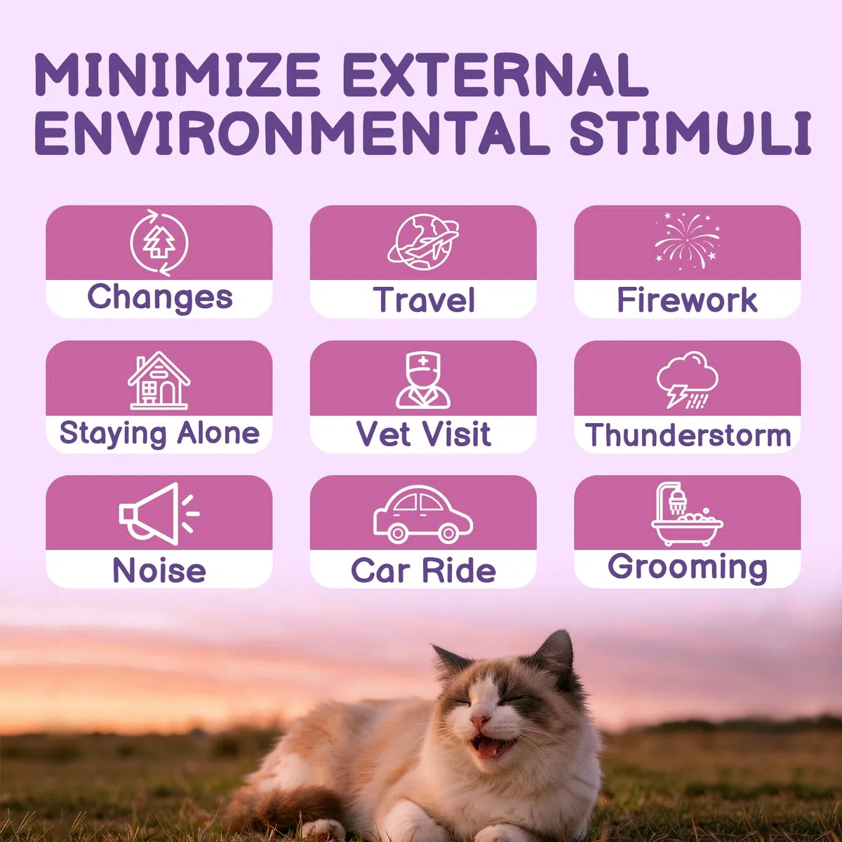 Spray calmante para gatos, ayuda a resolver problemas de comportamiento, estrés, ansiedad, para el hogar, viajes, aseo, con feromonas para gatos e ingredientes naturales