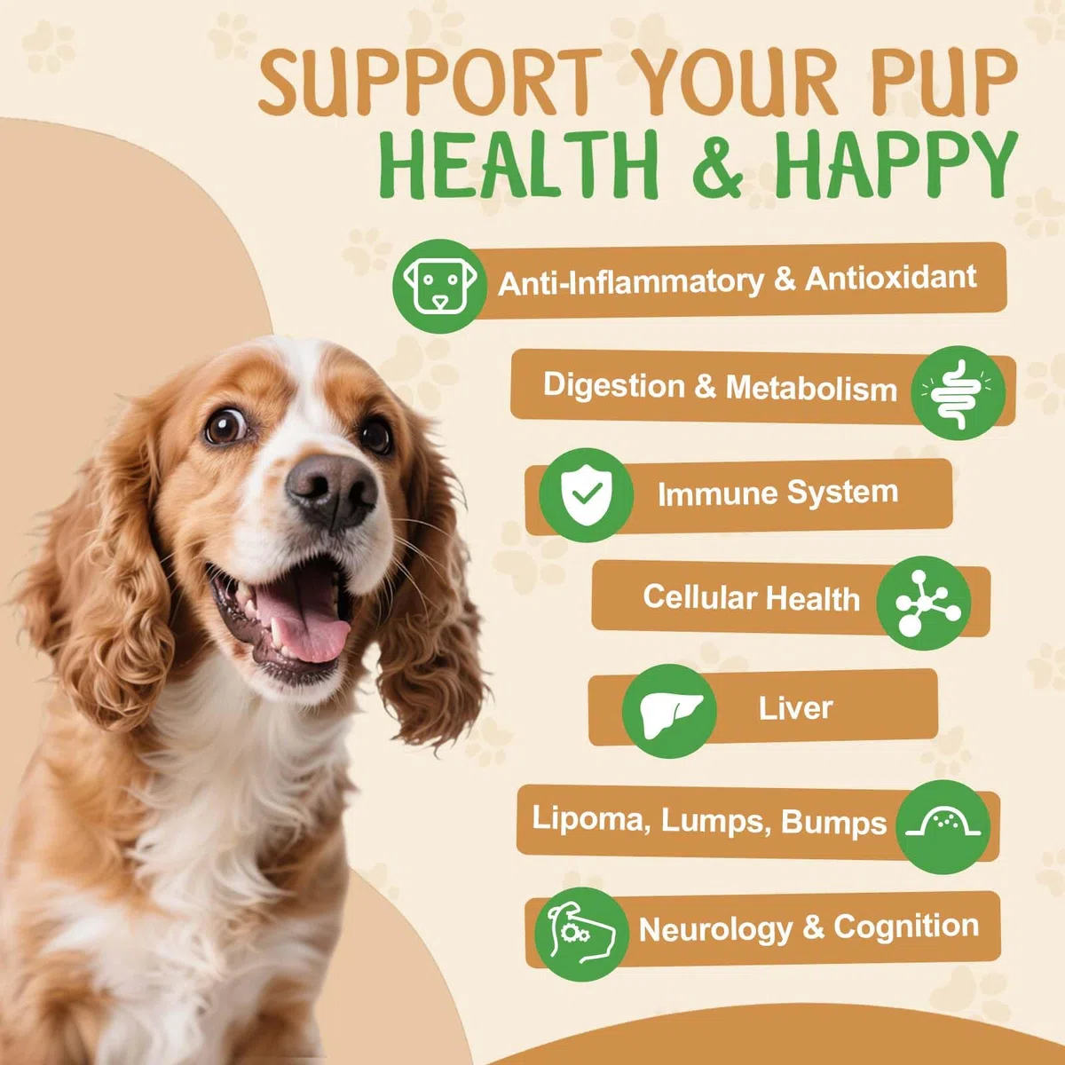 9 en 1 Hongos para Perros - Suplemento de Hongos para Perros - Sistema digestivo, Piel, articulaciones, Sistema inmunológico - con 9 Hongos - Sabor a Pollo asado