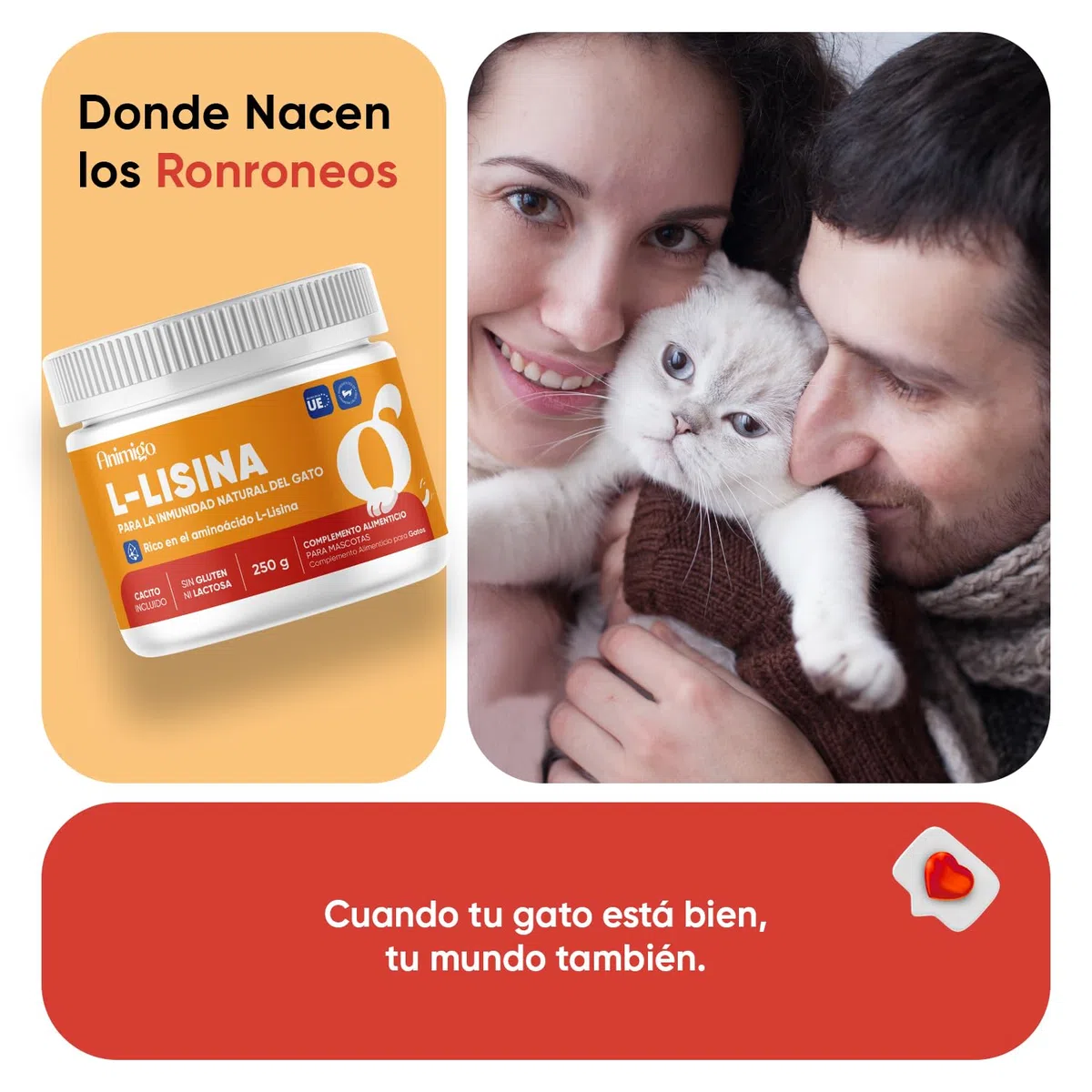 Lisina para Gatos en Polvo 250g, Con Cucharita, Para El Sistema Inmune, Las Defensas Naturales y La Función Respiratoria - Suplemento Natural de Aminoácidos Esenciales para Todas las Razas, Sin Gluten