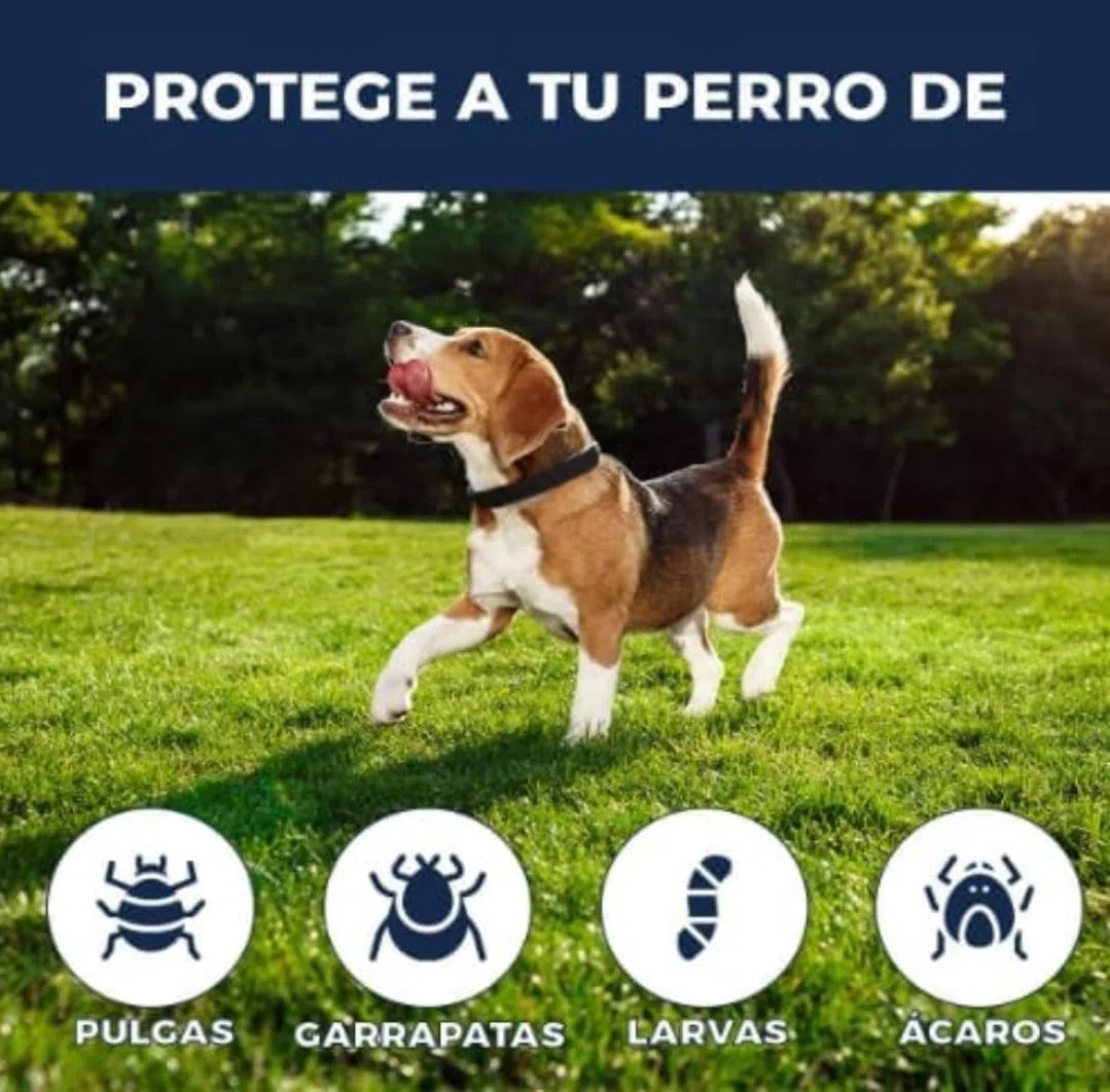 Collar Antiparasitario para Perros - Protección de Alta Eficacia contra Pulgas, Garrapatas y Mosquitos - Ajustable, Impermeable y de Larga Duración - Color Negro - Pack de 2