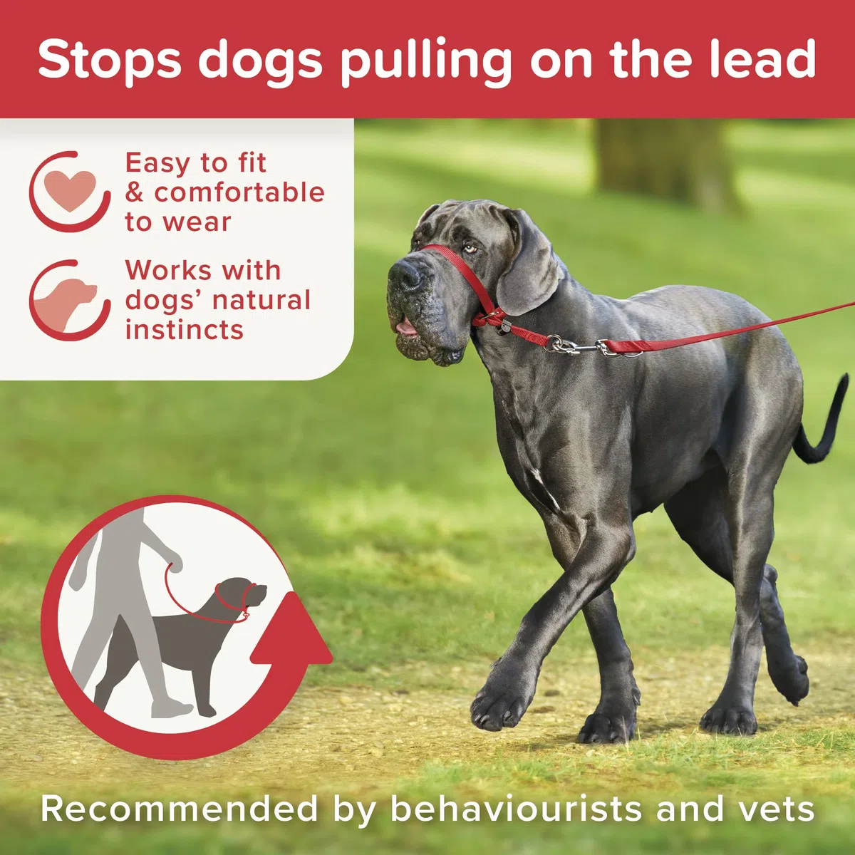 Beaphar Gentle Leader Collar Adiestramiento Perro Mediano - Rojo