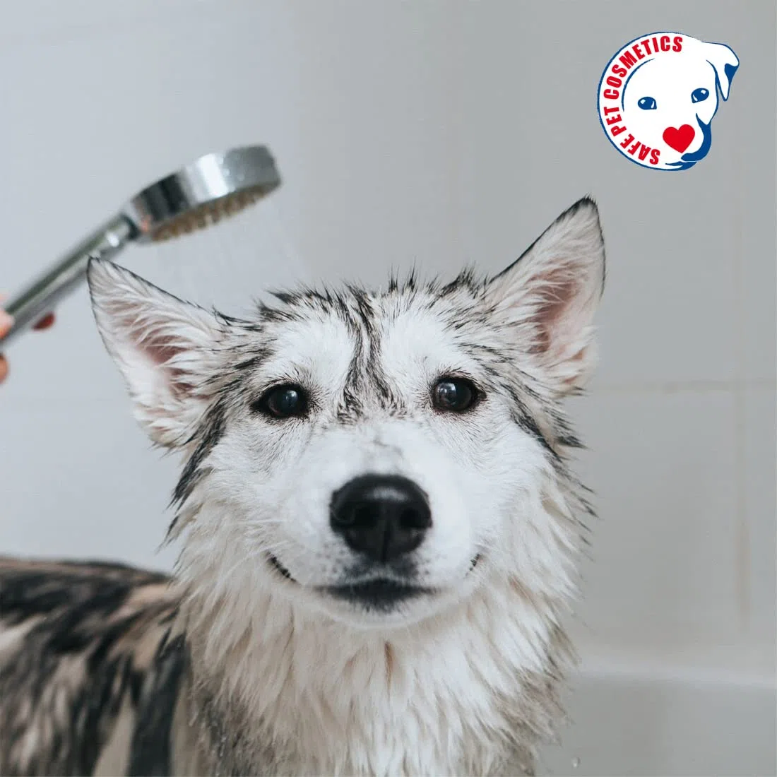 Máscara de Menta - Mascarilla para Perros - 250 ml - Mascarilla acondicionadora para Perros y Gatos: Nutrición y vitalidad con Menta y Vitamina B6 - Acción Reparadora - IV San Bernard