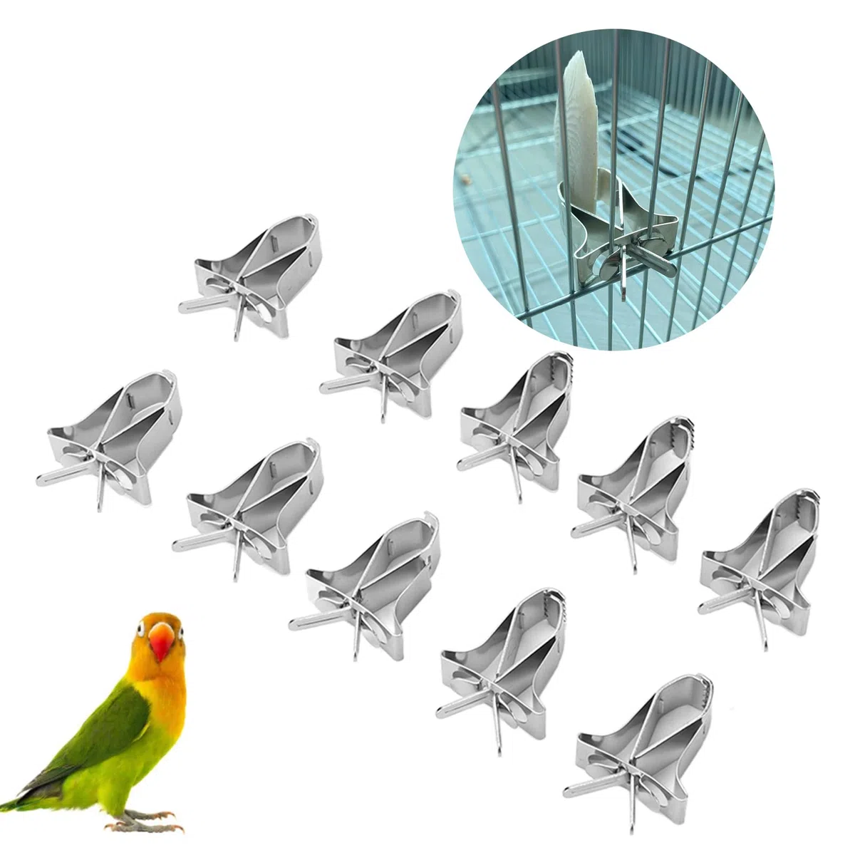 KIMISS 10 clips para fruta y verdura de acero inoxidable, para loros, pájaros, hámsters y conejos, soporte de alimento seguro y resistente, pinzas para vegetales y snacks
