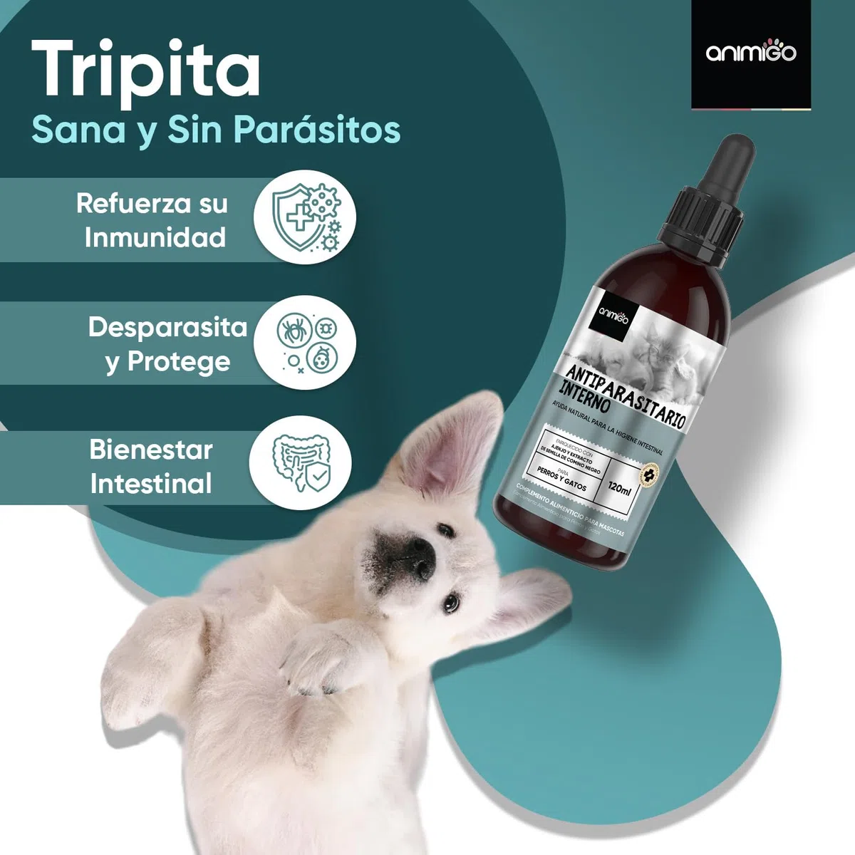 Desparasitante Perros y Gatos Interno 120 ml - Antiparasitario Intestinal Gatos en Gotas para Parásitos, Higiene Intestinal y Bienestar General - Antiparásitos Natural para 2 a 4 años de Suministro