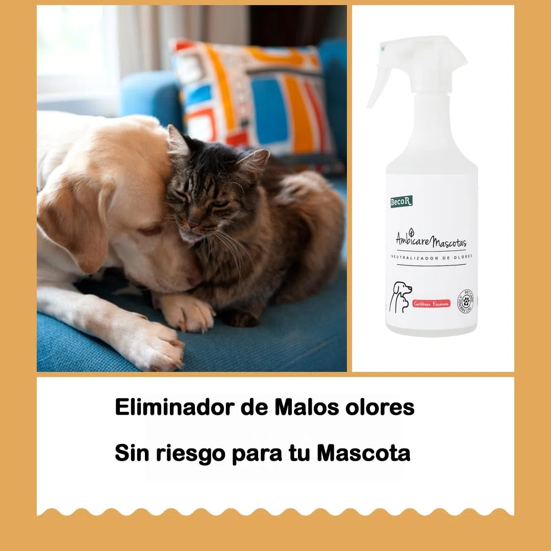 AMBICARE MASCOTAS-Neutralizador de olores de Gatos y Perros, Eliminador de olores Mascotas, ambientador absorbe olores mascotas, Biodegradable y sin Tóxicos para tu Mascota. PETCARE