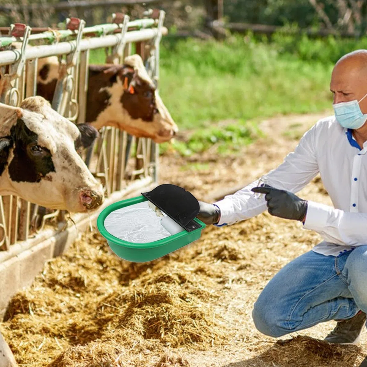 Cuenco automático de agua potable para vacas, bebedero automático para animales, cuenco de agua automático para ganado, suministros para mascotas para ganado, ovejas, vacas, ganado, caballos