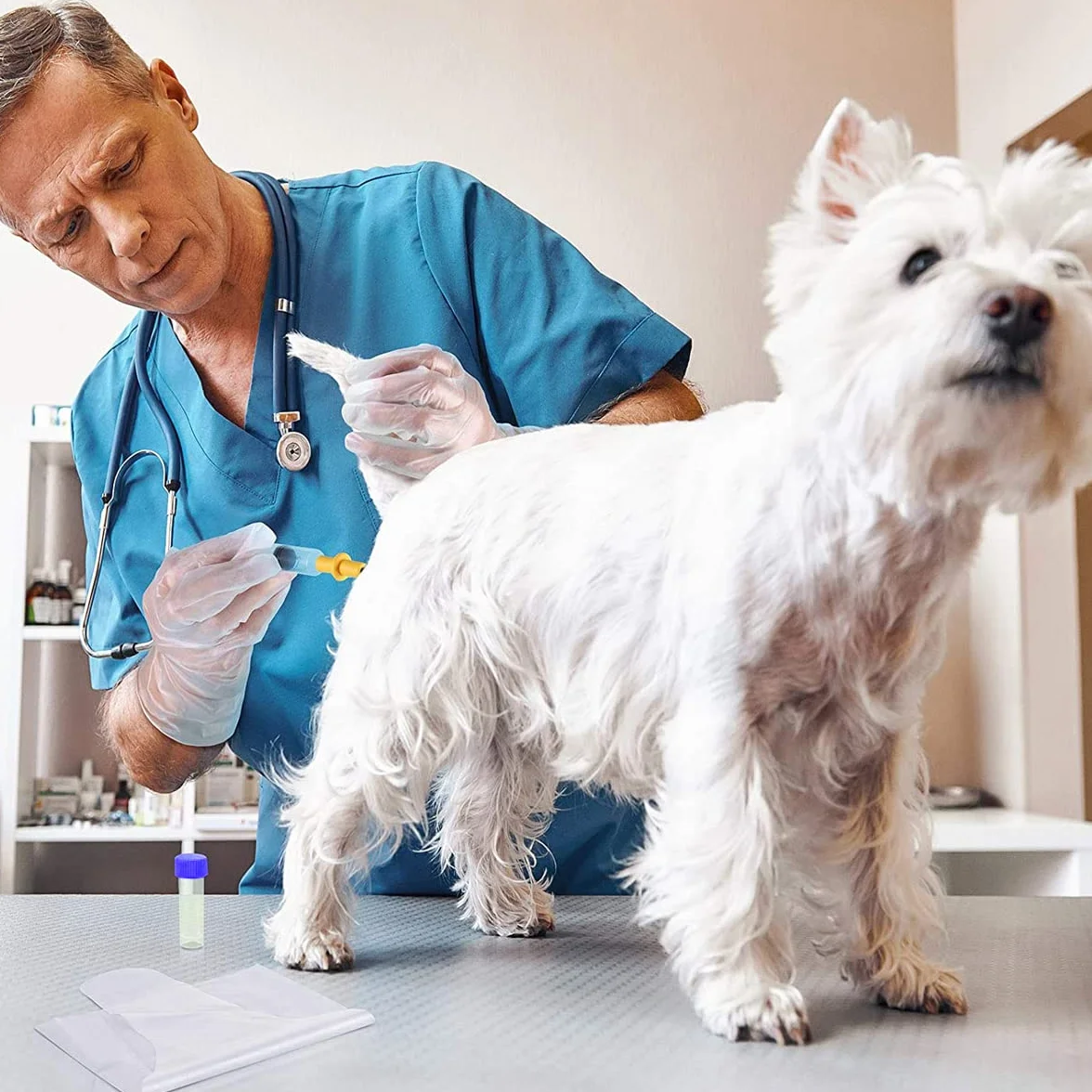Juego de 5 Kits de CríA Canina, Suministros de CríA De Perros, Kit de InseminacióN Artificial para Mascotas, Kit de CríA de Perros de InseminacióN Artificial para Mascotas PequeñAs y Medianas