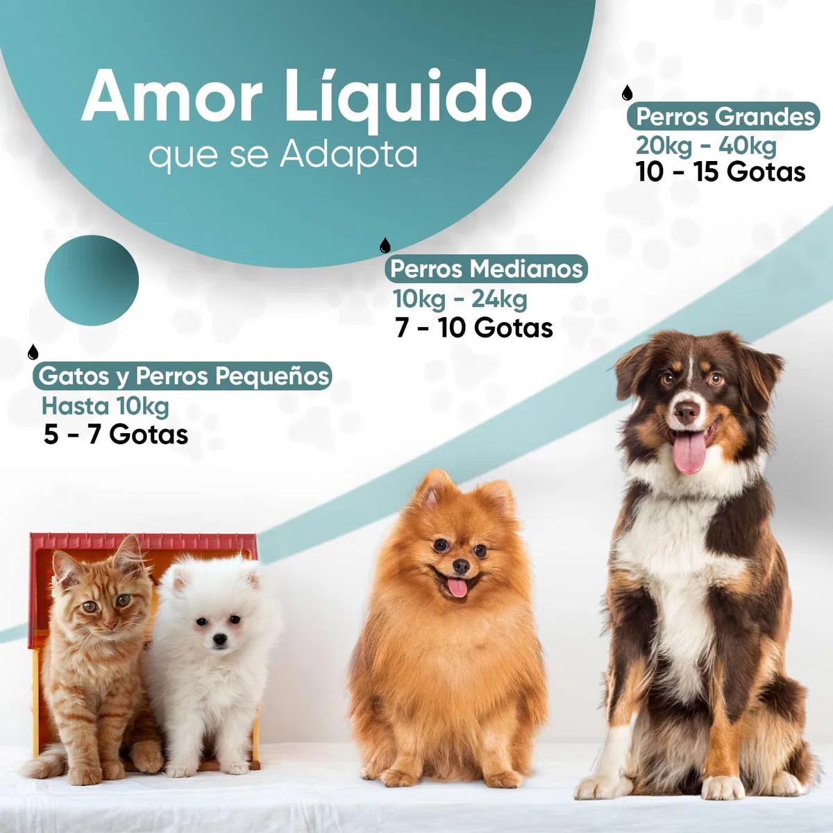 Desparasitante Perros y Gatos Interno 120 ml - Antiparasitario Intestinal Gatos en Gotas para Parásitos, Higiene Intestinal y Bienestar General - Antiparásitos Natural para 2 a 4 años de Suministro
