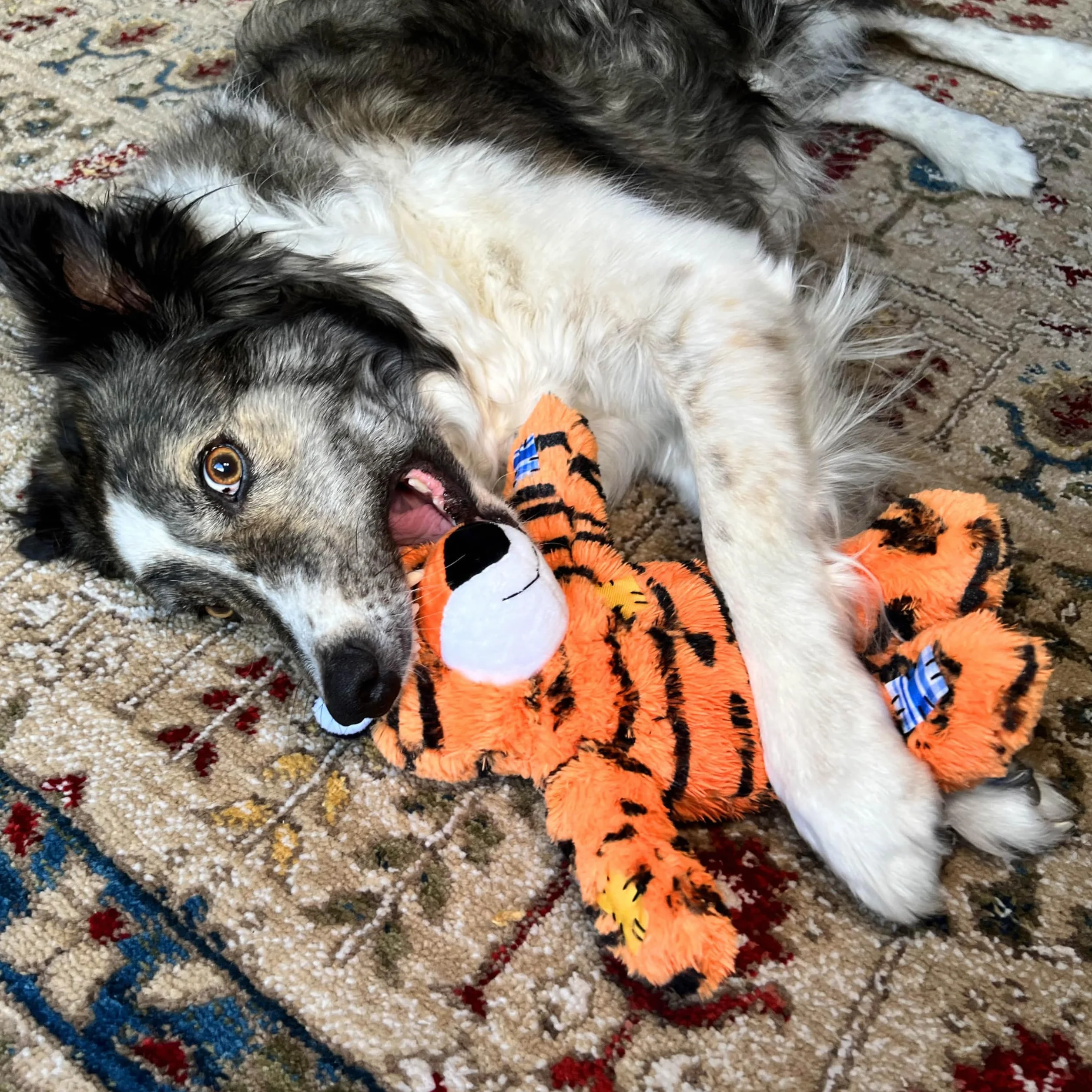 Kong Company 38750936: Wild Knots Dog Toy Tiger MD/LG