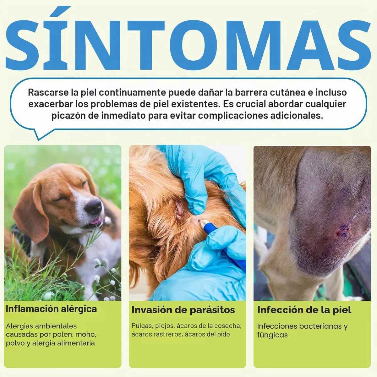 Picazón Perro Comprimidos, Antialérgicos Para Perros, Suplementos para el alivio de la picazón de la piel de los perros para detener el picor, el lamer y el rascado para todos perros, 120 masticadores