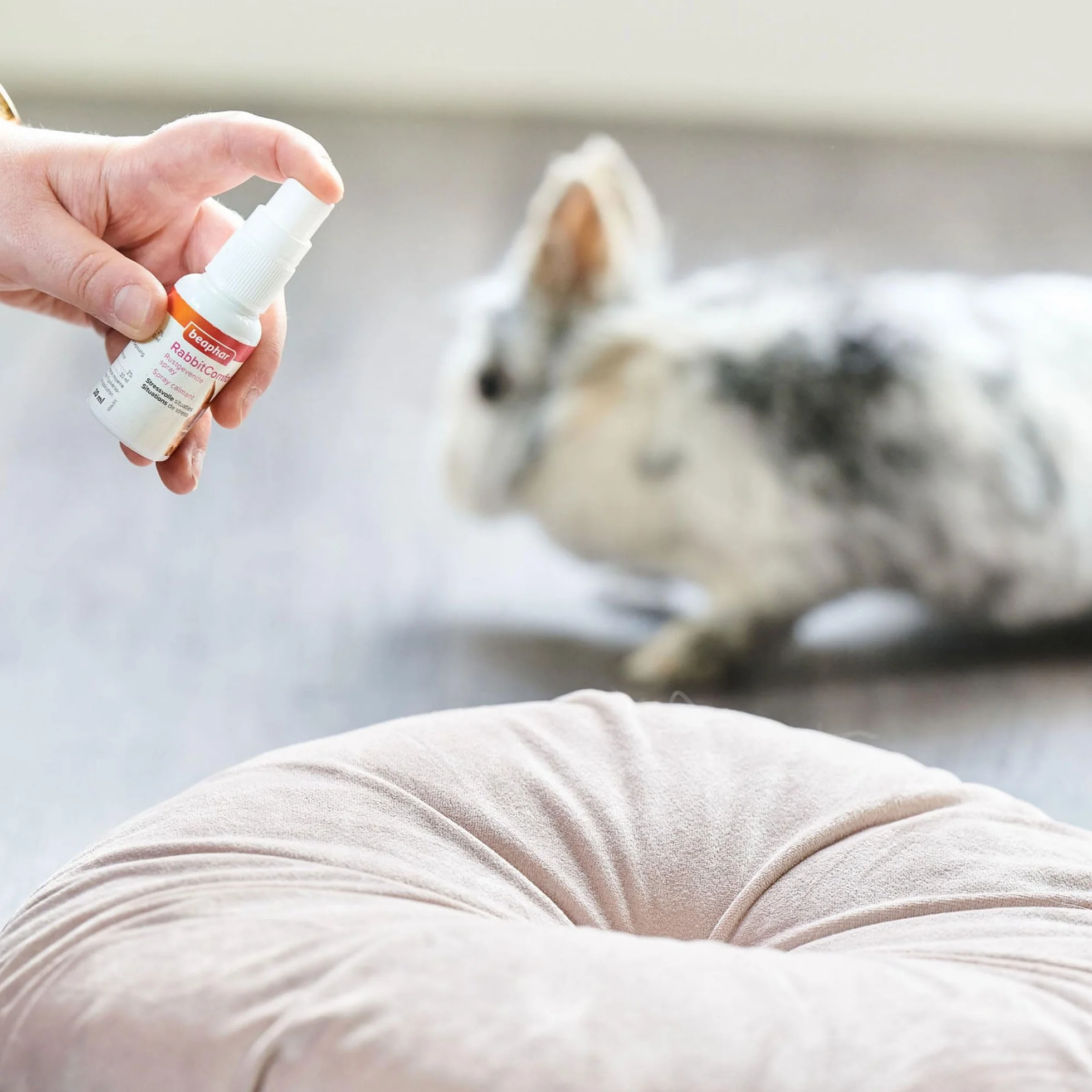 Beaphar - RabbitComfort - Spray Calmante con Feromonas para Conejos - Reduce el Estrés y los Problemas de Comportamiento – para Viajes y Visitas al Veterinario - 30 ml