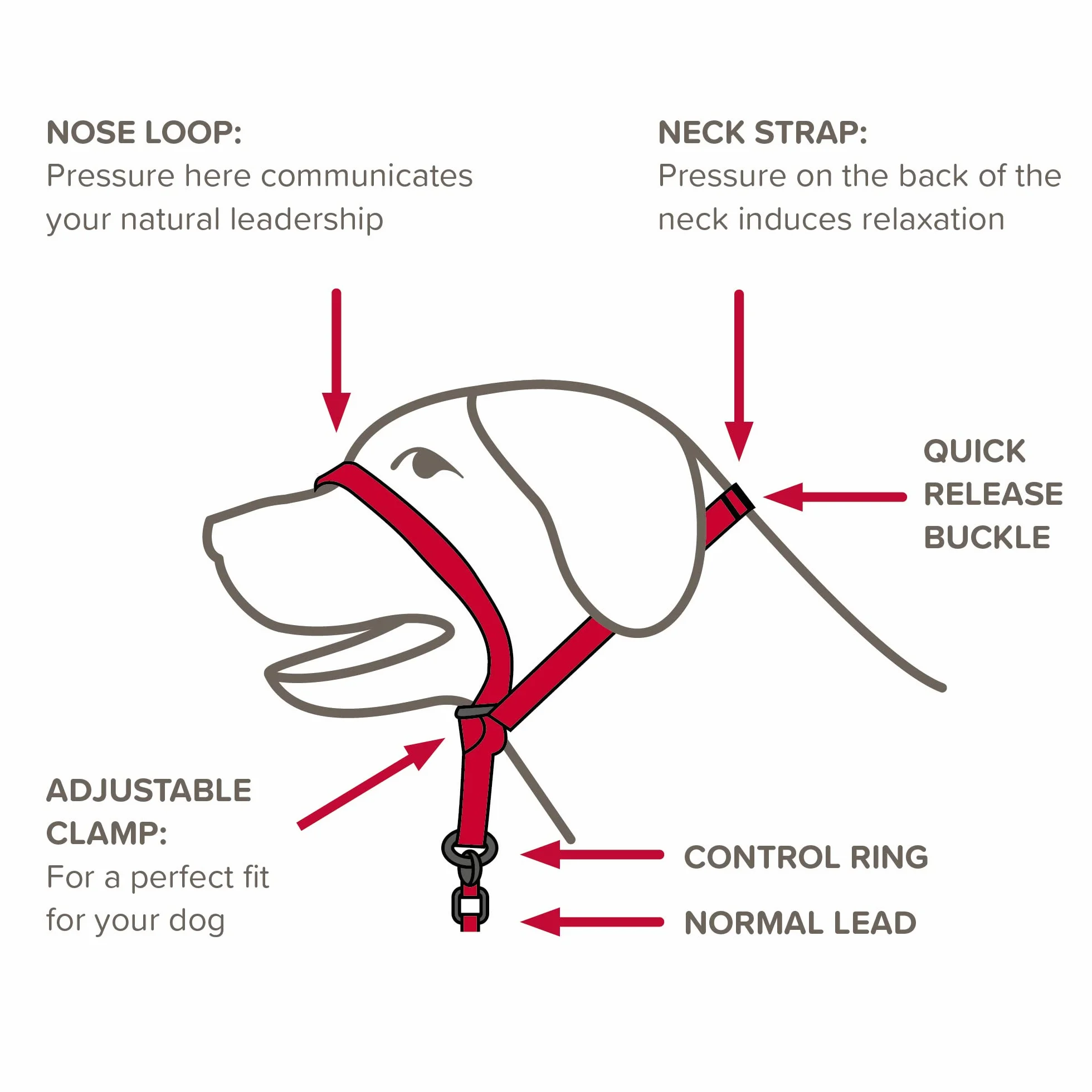 Beaphar Gentle Leader Collar Adiestramiento Perro Mediano - Rojo