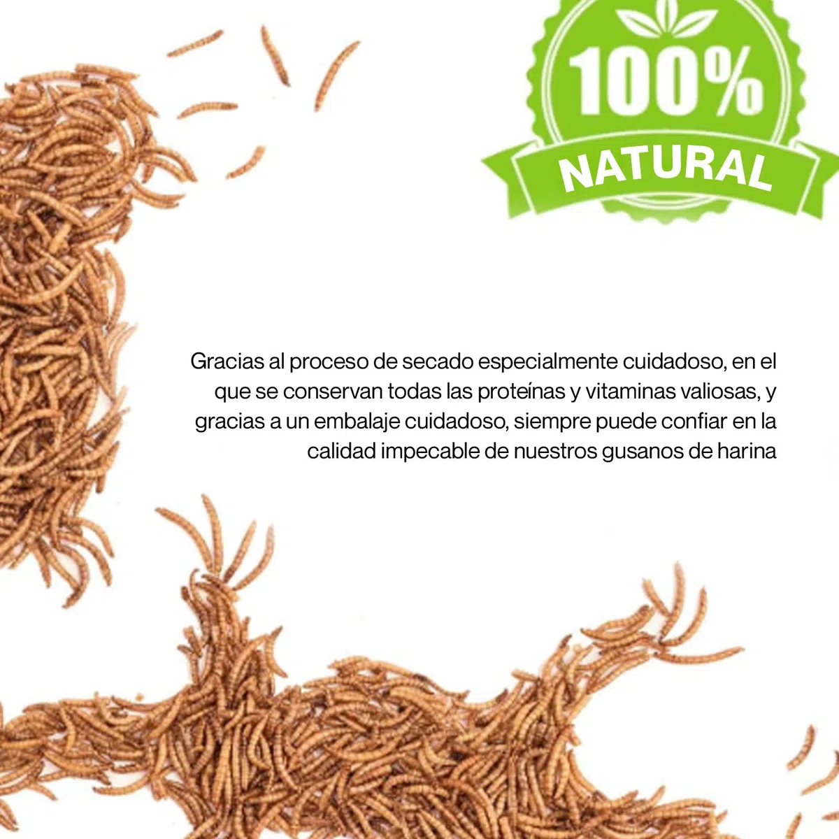 Detox Organica Gusanos de la Harina 800g – Gusanos de la Harina Deshidratados 5L – Gusanos para pájaros disecados – 100% Natural