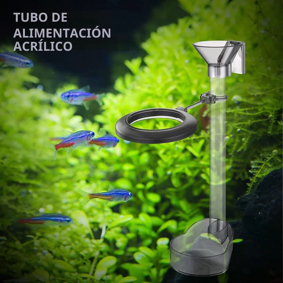 Juego de Platos de alimentación de camarones, Kit de Tubo de alimentación de Peces de Acuario Ajustable, Tubo de alimentación Transparente y Duradero con Anillo de alimentación, Cepillo de Limpieza