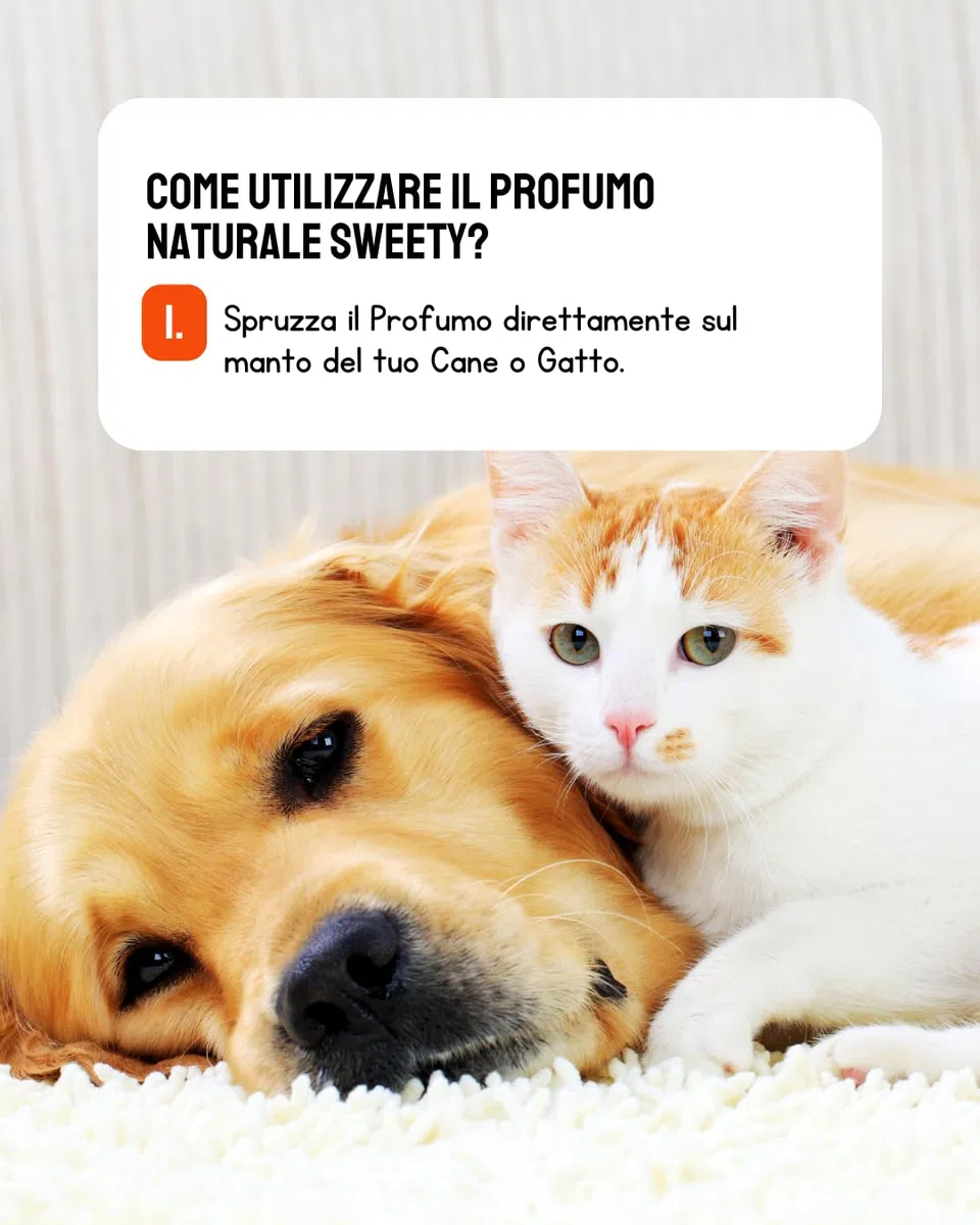 Colonia para perros y gatos natural - Aroma de larga duraciòn, desodorante también apropiado para cachorros spray. 50ml