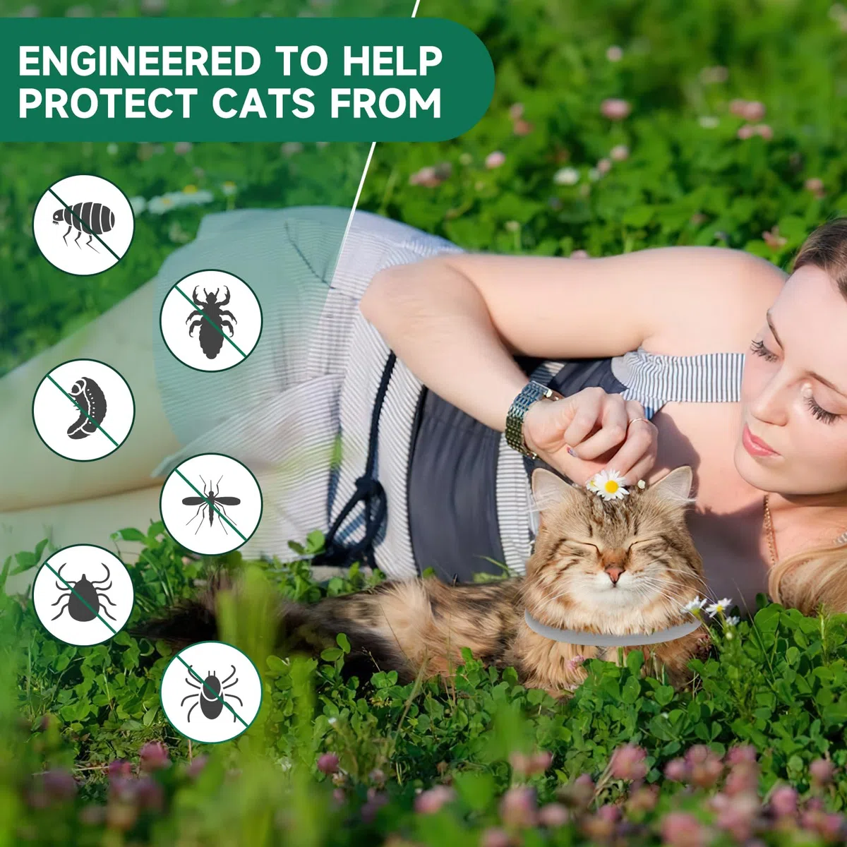 Woyamay Collar Antiparasitario Gatos Natural, Resistente al Agua, Seguro y Eficaz Collar Antipulgas y Garrapatas para Gatos, 8 Meses de Protección contra Pulgas Collar Gato, Púrpura