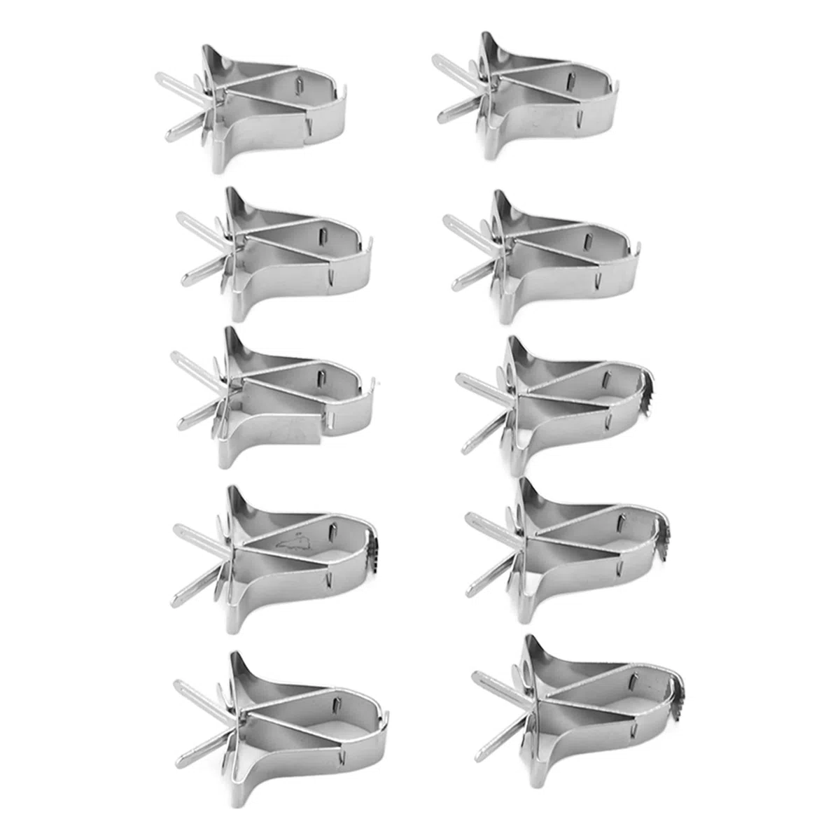 KIMISS 10 clips para fruta y verdura de acero inoxidable, para loros, pájaros, hámsters y conejos, soporte de alimento seguro y resistente, pinzas para vegetales y snacks